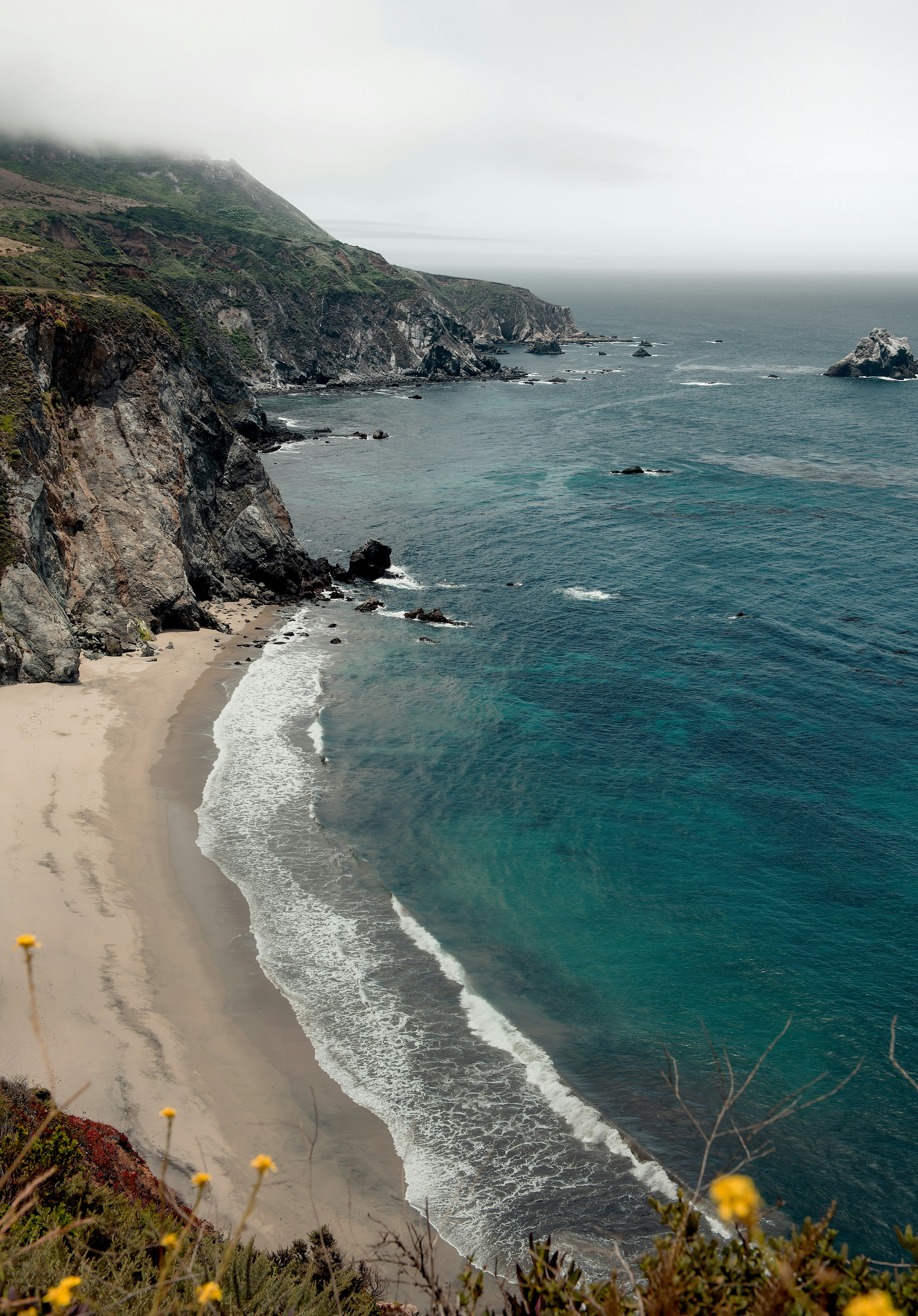 people on beach during daytime